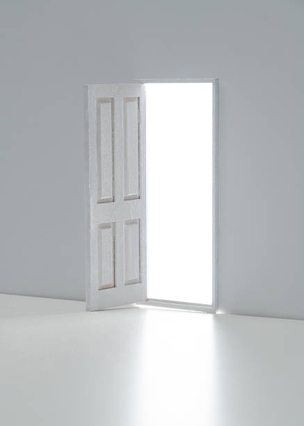 premium door replacement in flat rock al